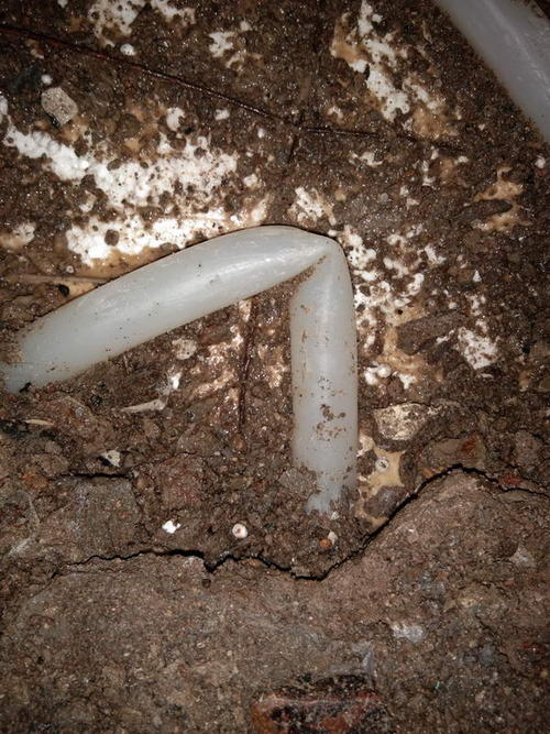 兴山堵点精准查找